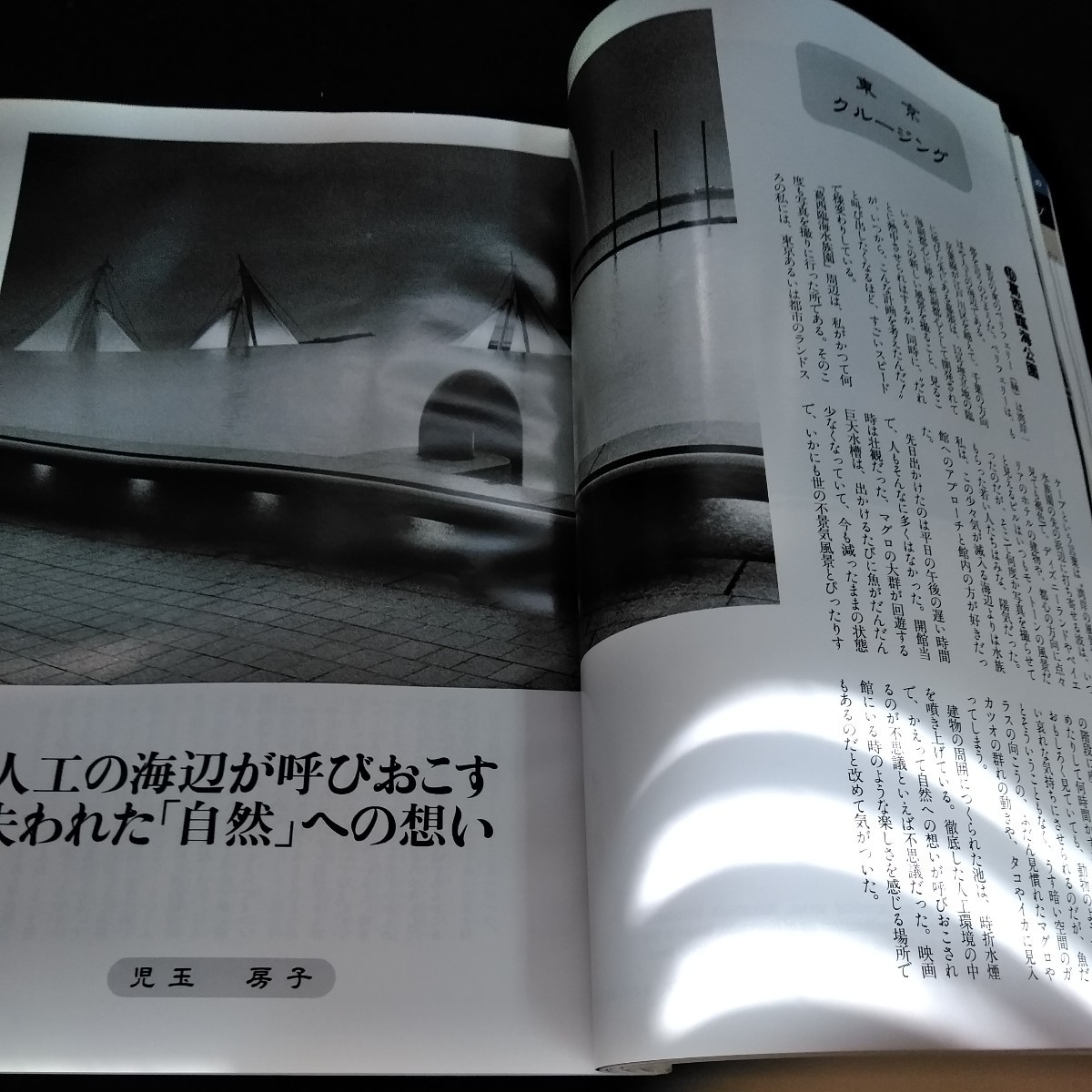 f-535 Asahi camera 1994 year 7 month number special collection NUDE[. body. change .] morning day newspaper company *6