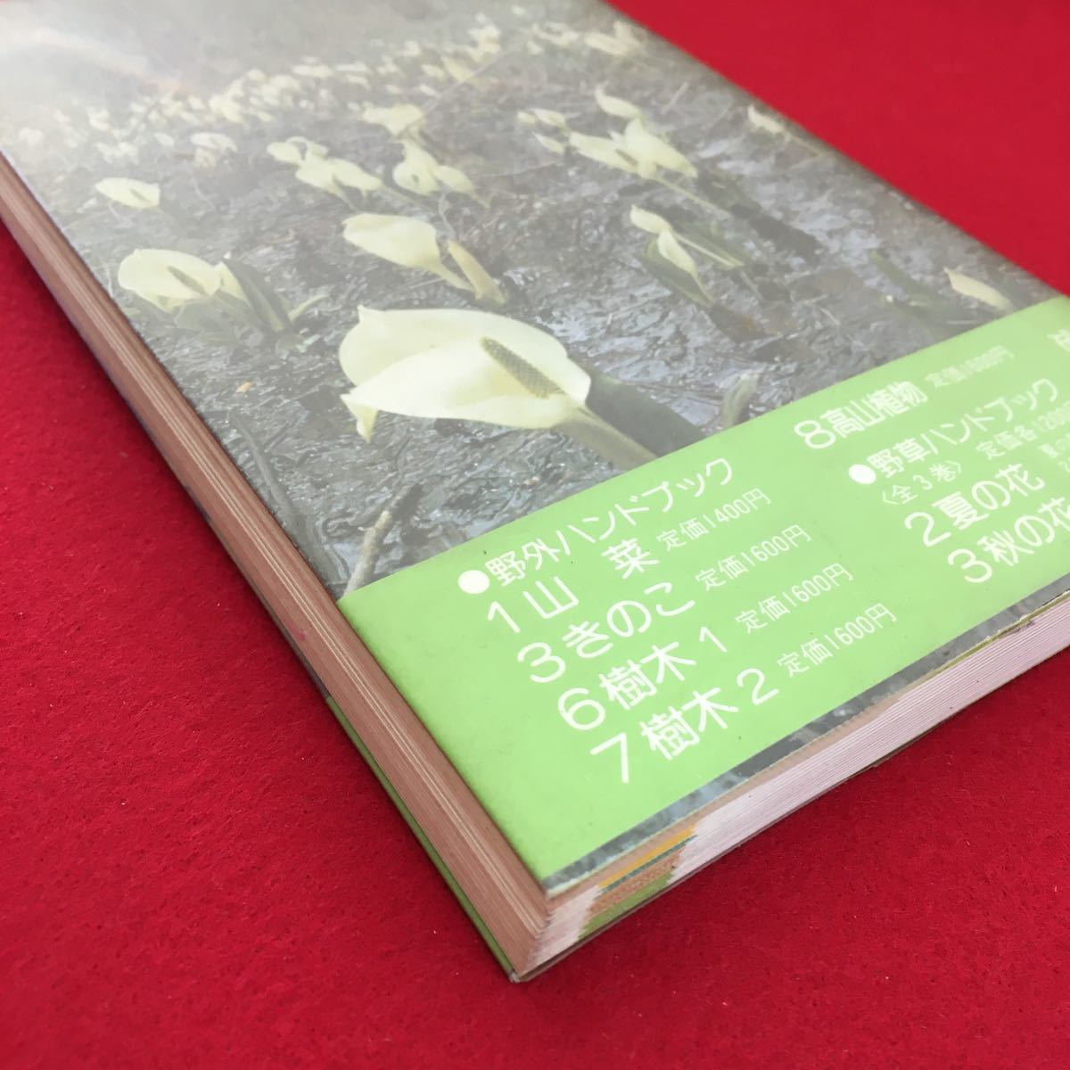 h-222*6/ wild grasses hand book Ⅰ spring. flower Showa era 55 year 1 month 5 day 11 version 1. author ... Hara issue person Kawasaki . light ./ mountain / sea side / the first summer etc. 