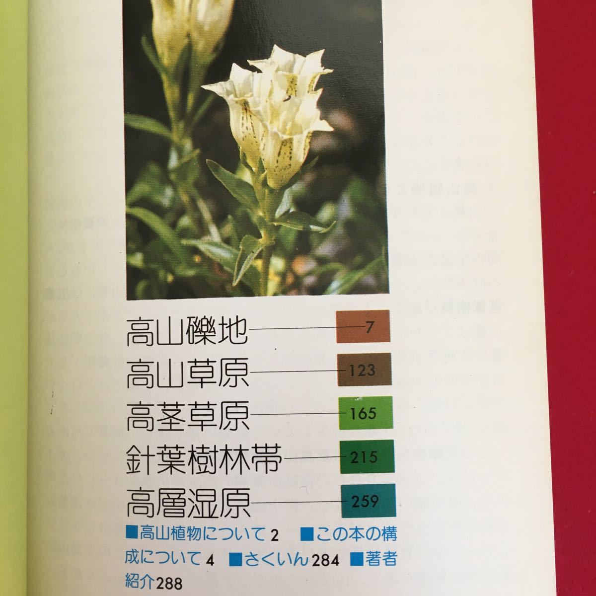 h-225*6/ field hand book 8 Alpine plants Showa era 55 year 4 month 15 day 2 version 2. issue explanation Ono . male photograph tree .. height mountain . ground height mountain .. height stem .. needle leaved tree . obi 