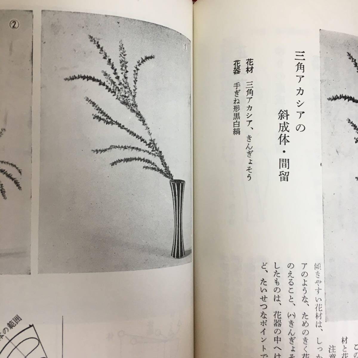 i-253*6/.... text book ... base . respondent for Showa era 47 year 8 month 1 day 48 version issue eyes next ... concerning natural flower . vase flower etc. 