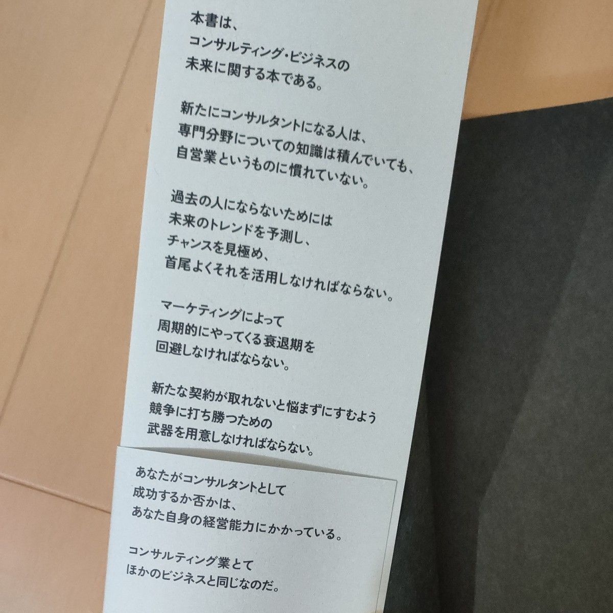 テッドニコラスのコンサルタント起業成功法則大全 頭のいい顧客とお金の増やし方／テッドニコラス (著者) 北岡秀紀 (訳者)