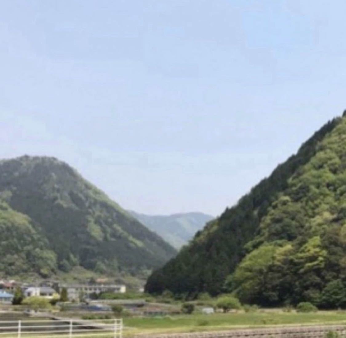 日本蜜蜂 肉球クリーム 蜜蝋クリーム リップタイプ 添加物なし 舐めても安心_画像5