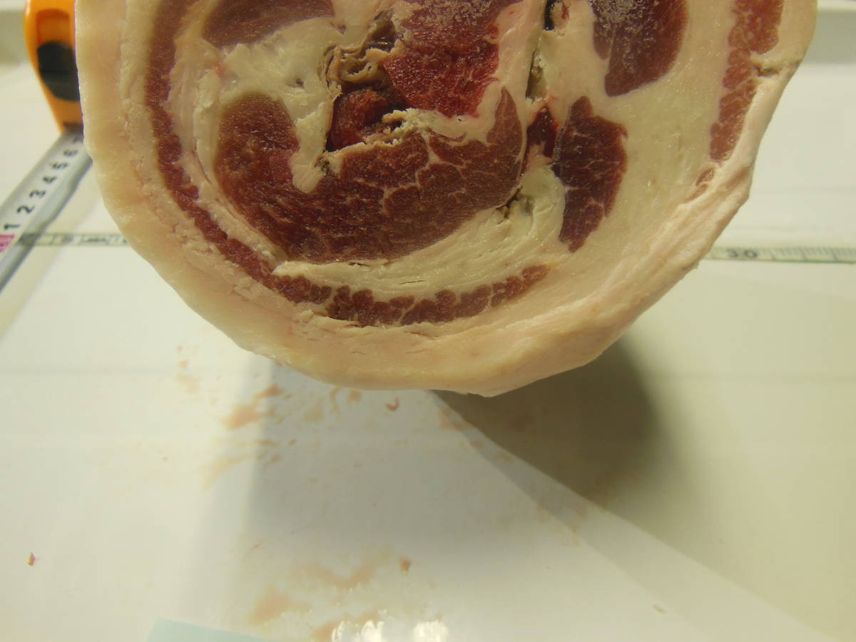 福岡県産天然猪肉　令和5年　メス　（１３０－１０）　モモ　８５０ｇ_画像2