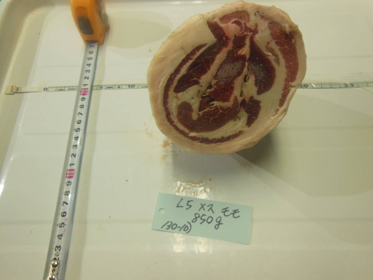 福岡県産天然猪肉　令和5年　メス　（１３０－１０）　モモ　８５０ｇ_画像1