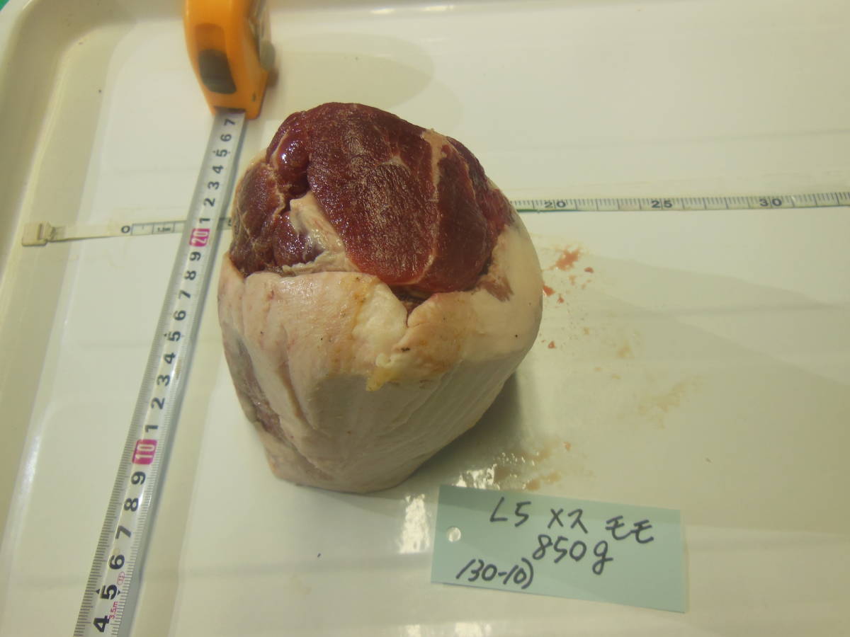 福岡県産天然猪肉　令和5年　メス　（１３０－１０）　モモ　８５０ｇ_画像4