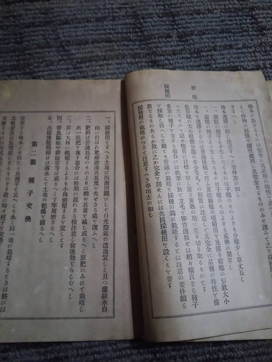 普通作物教本　愛知県立農事講習所　　明治43年_画像3