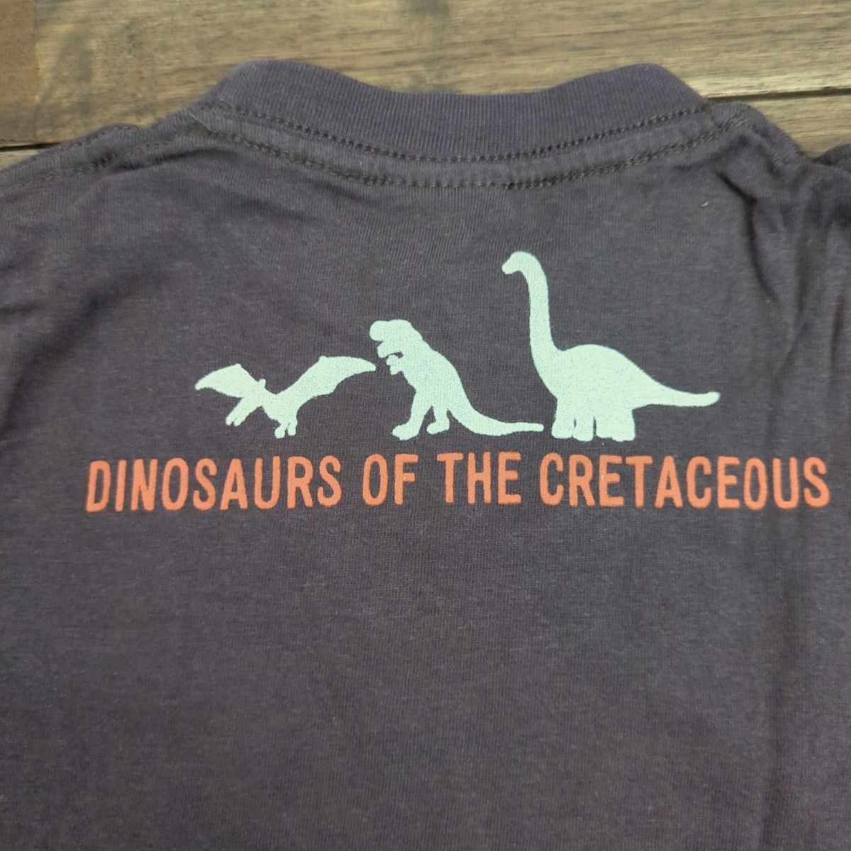 男の子　90　セット　長袖　薄手　西松屋　恐竜　ティラノサウルス　カットソー　トリケラトプス　 長袖Tシャツ