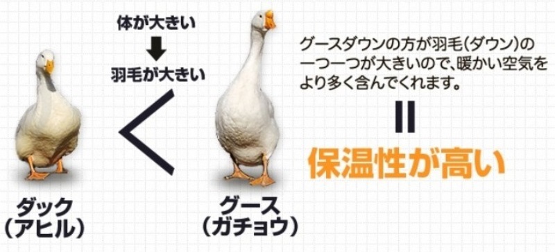 寒がり冷え性の方へ..グースダウン90%立体キルト 高級羽毛ふとん