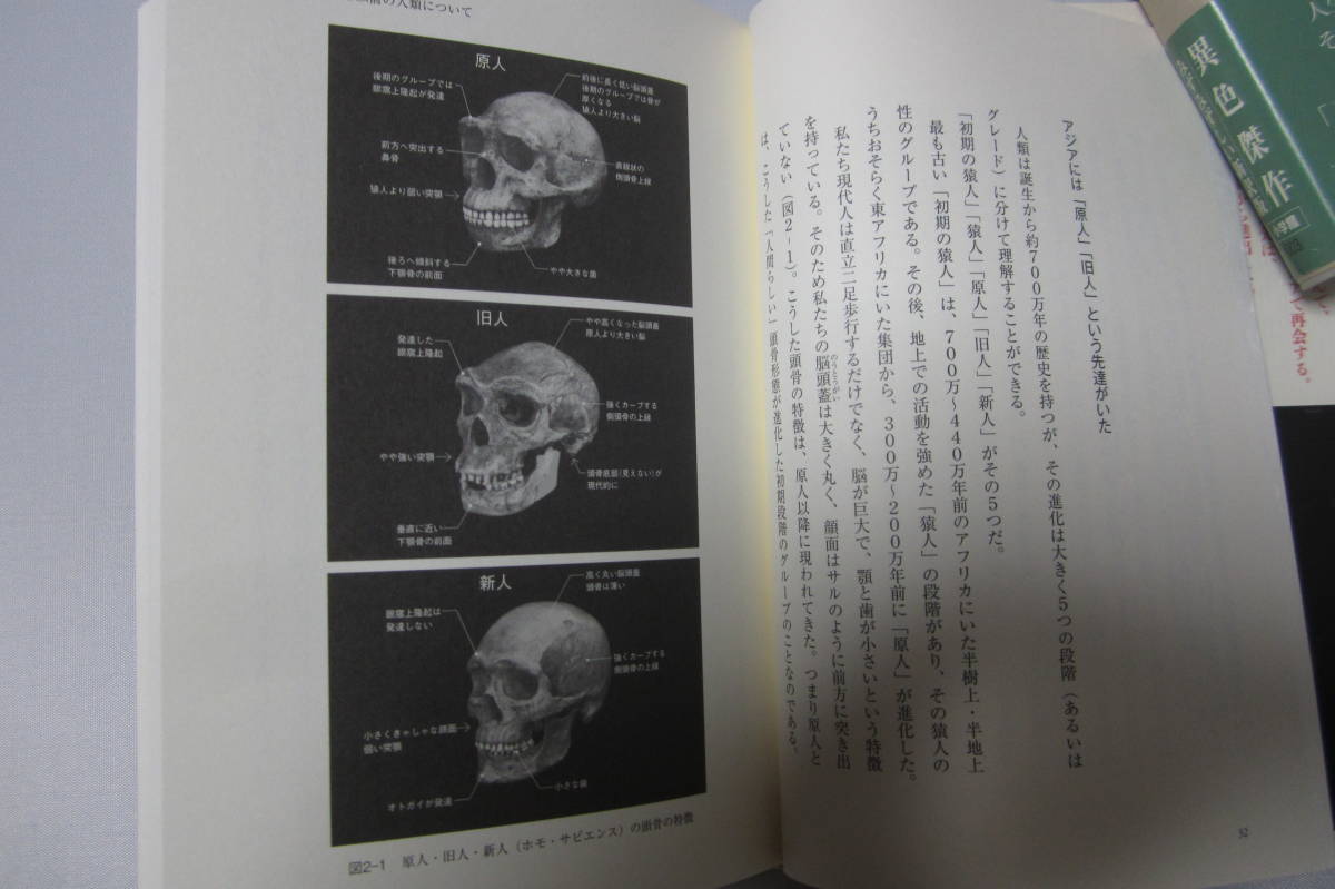 読書　趣味の本　文藝春秋　日本人はどこから来たの？　　中古品