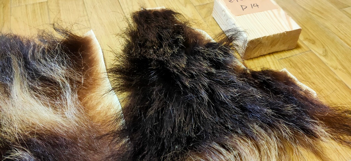 ●フライマテリアル●ヒグマの毛皮 端切れ（D14） 羆 熊 毛皮 / DIY　ハンドクラフト レザークラフト 毛鉤 毛針 フライ_画像7