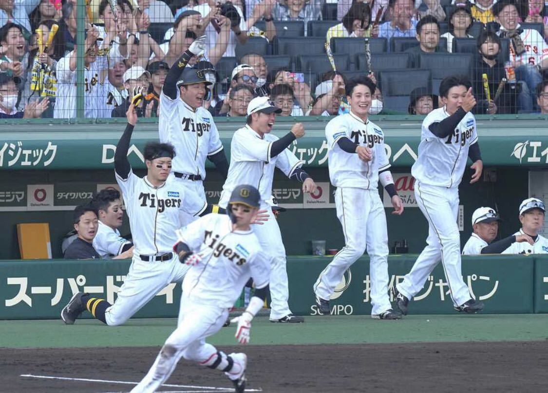 阪神タイガース 伝統の一戦 2023 レプリカユニフォーム 8番 O 阪神タイガース 伝統の一戦 2023 レプリカユニフォーム 8番 O