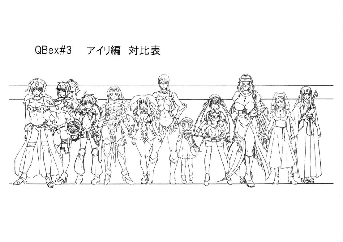 買取り実績 110枚 設定資料集 OVA：クイーンズブレイド 美しき闘士たち