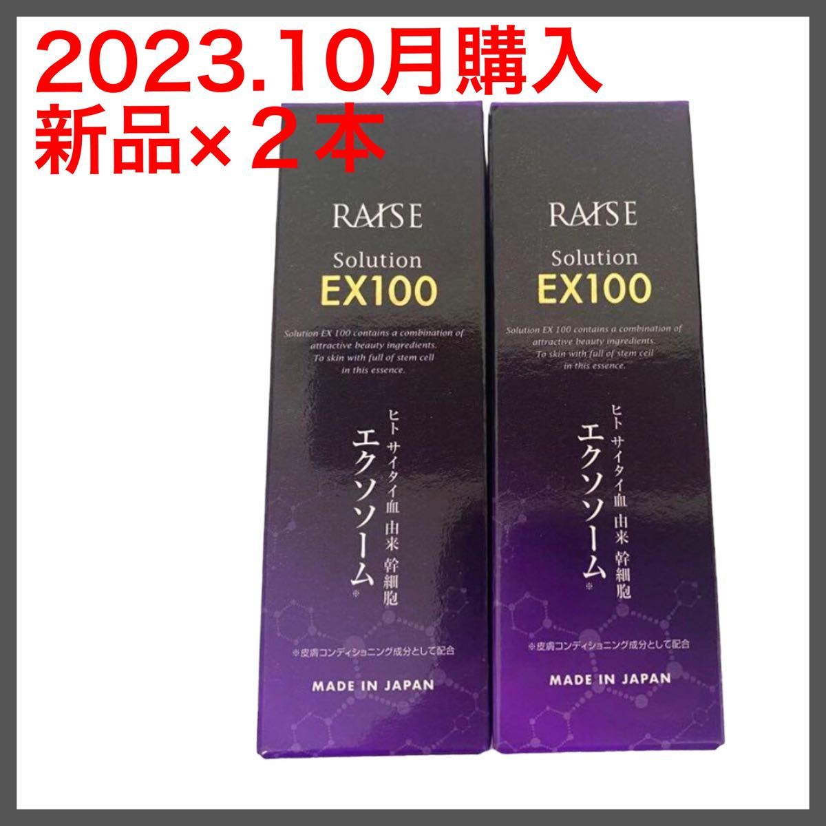 レイズ ソリューションEX100 2本セット エクソソーム美容液 レイズ ソリューションEX100 2本セット エクソソーム美容液