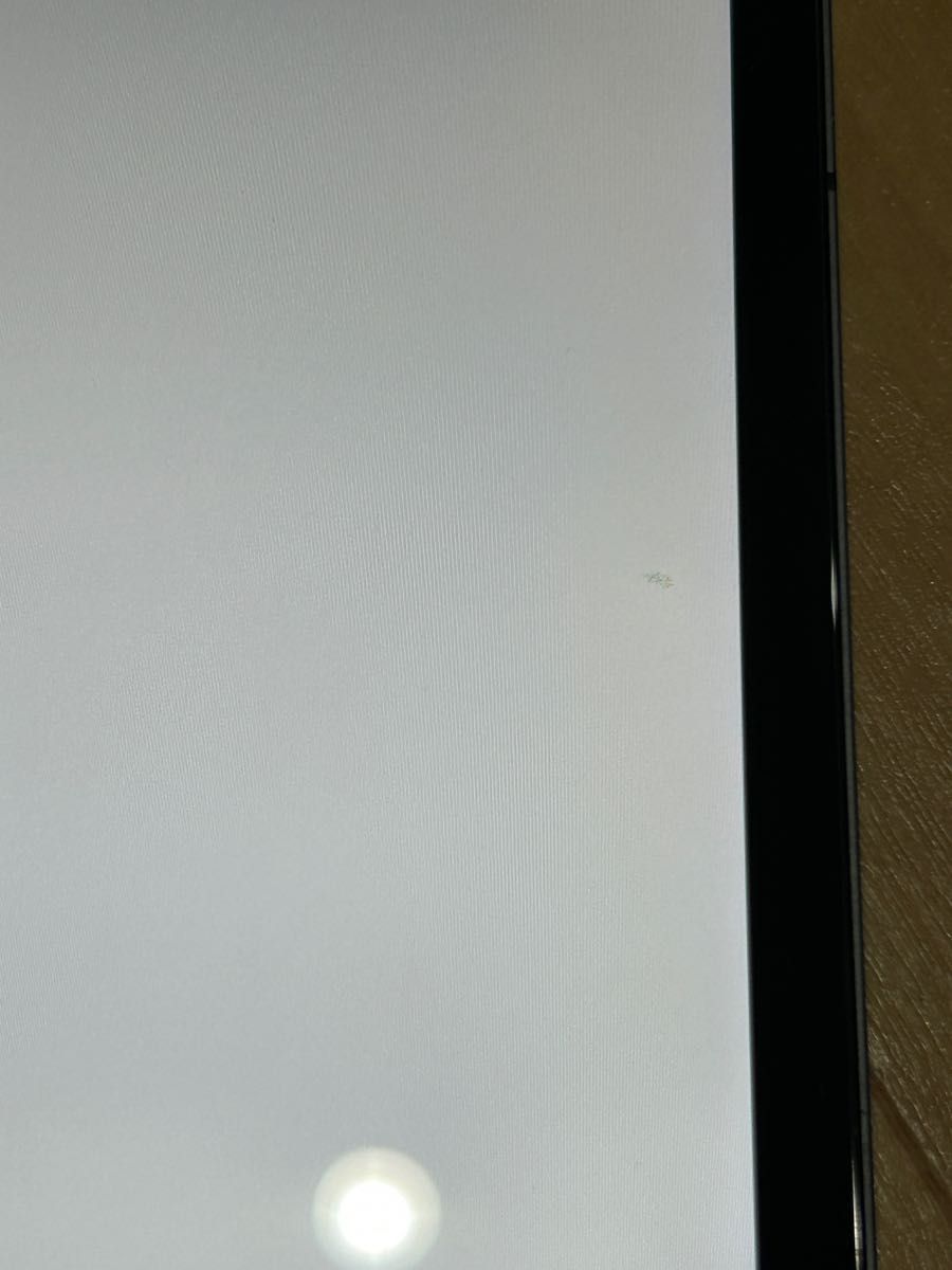 iPad Pro 11インチ 1TB cellular SIMフリー セルラー 動作好調 iPad Pro 11インチ 1TB cellular SIMフリー セルラー 動作好調
