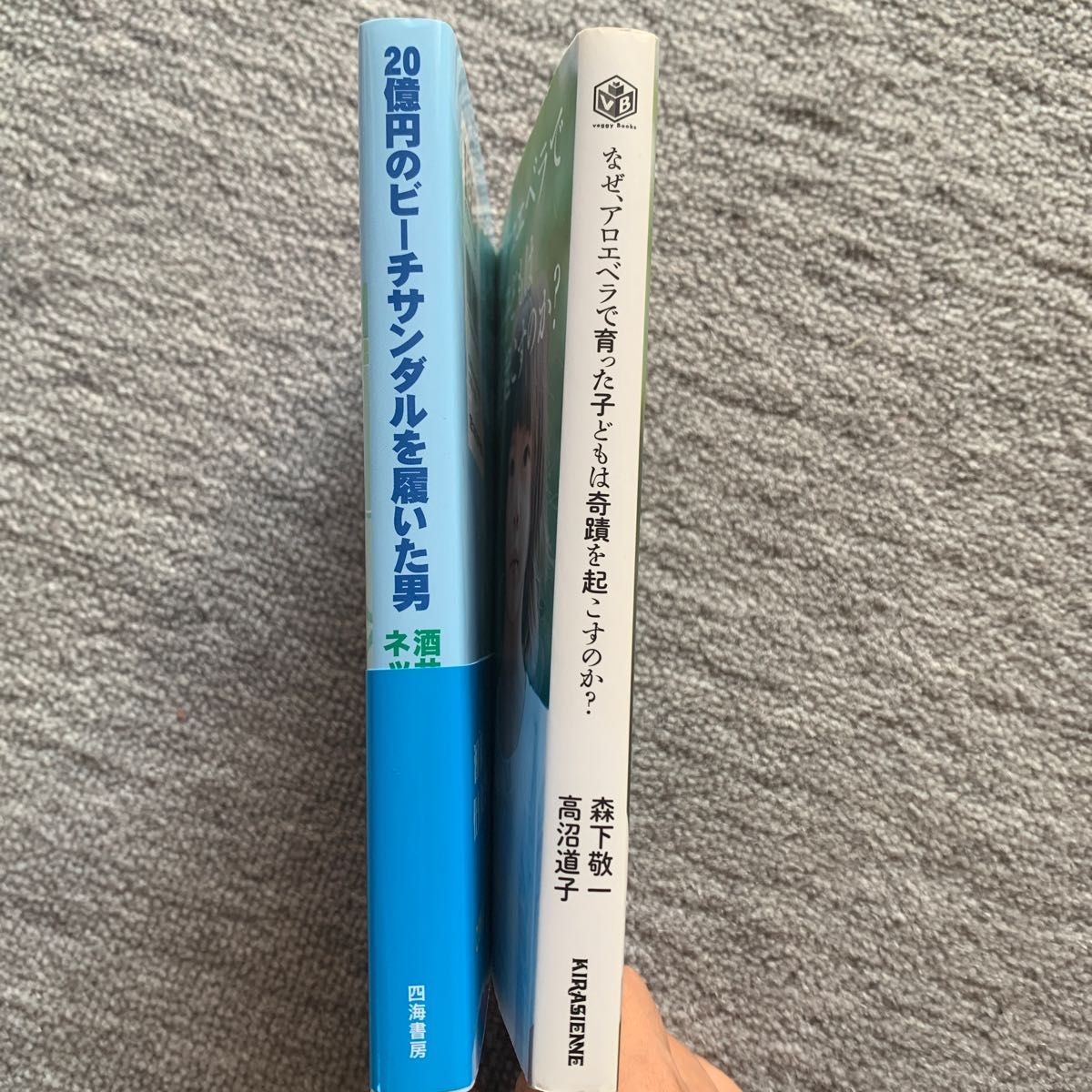 【2冊売】なぜ、アロエベラで育った子どもは奇蹟を起こすのか？/２０億円のビーチサンダルを履いた男