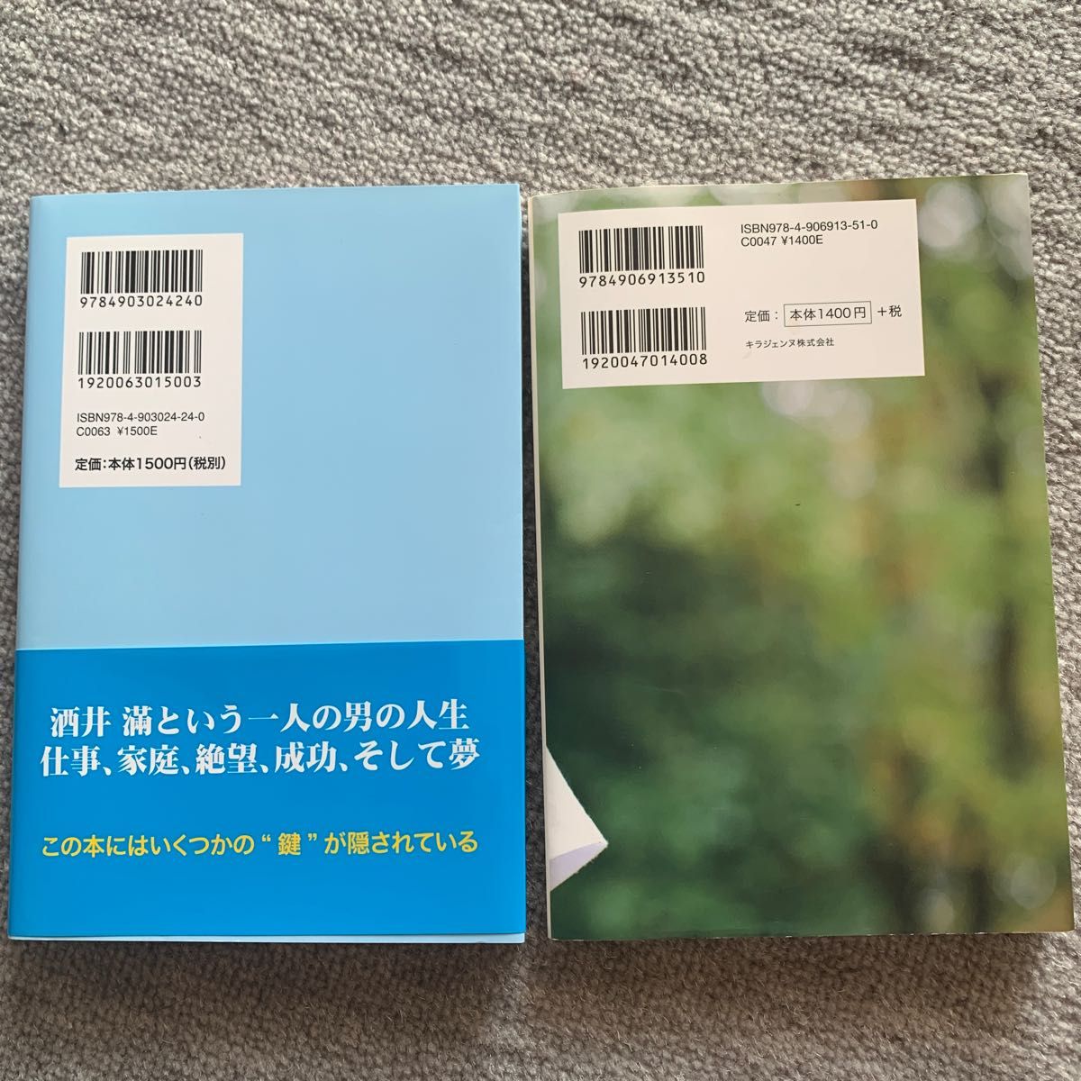 【2冊売】なぜ、アロエベラで育った子どもは奇蹟を起こすのか？/２０億円のビーチサンダルを履いた男