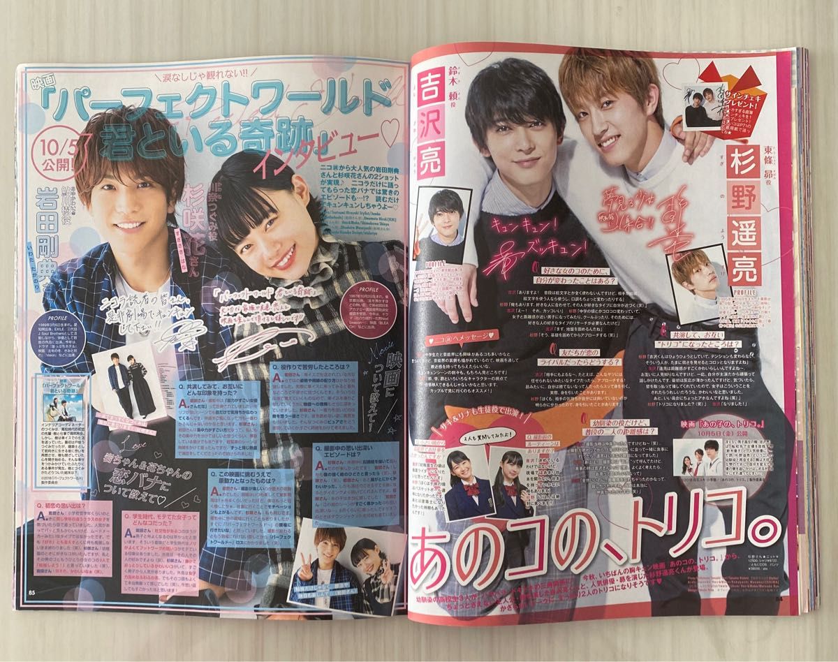 nicola (ニコラ) 2017年11月号2018年11月号｜Yahoo!フリマ（旧