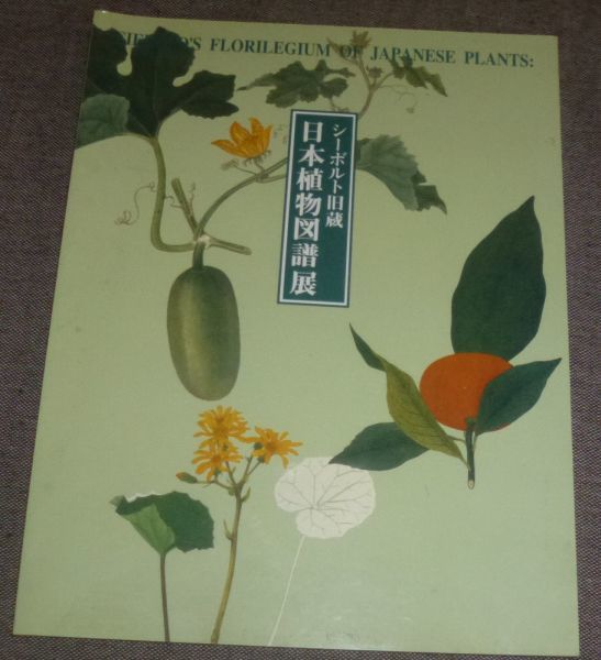 シーボルト旧蔵 日本植物図譜展(ボタニカルアート/川原慶賀,清水東谷,川原玉賀,川原忠吉,水原豊文,宇田川榕菴,桂川甫周,栗本丹州_画像1