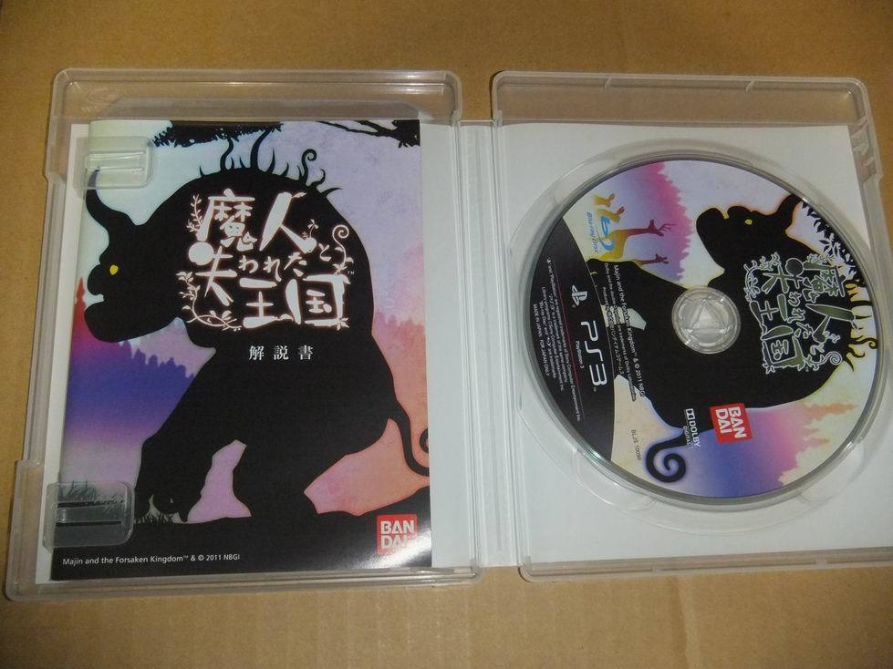 PS3 魔人と失われた王国_画像3