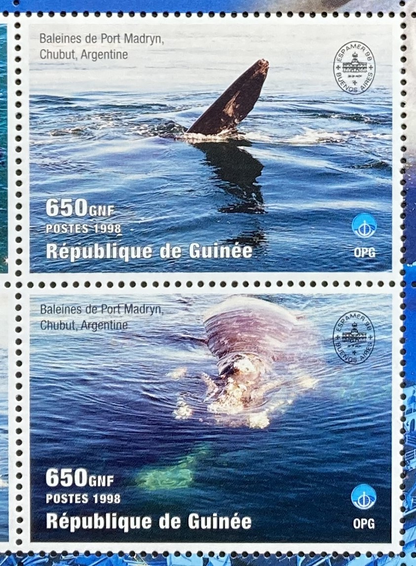 ギニア 1998年発行 クジラ 切手 未使用 NH_画像3