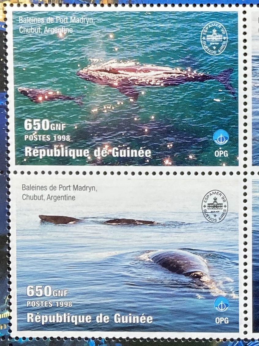 ギニア 1998年発行 クジラ 切手 未使用 NH_画像2