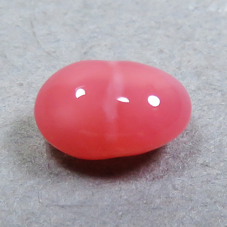 【希望者のみラッピング無料】 コンクパール(conch ルース(0.46ct) pearl) 真珠