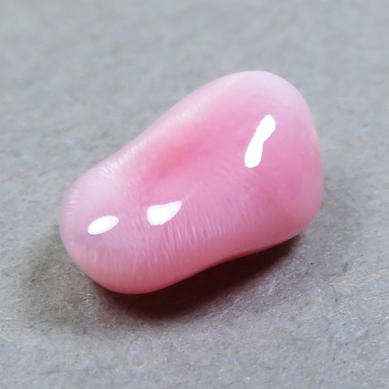 【感謝価格】 《color, 1ctup》コンクパール(conch ルース(1.41ct) pearl) 真珠