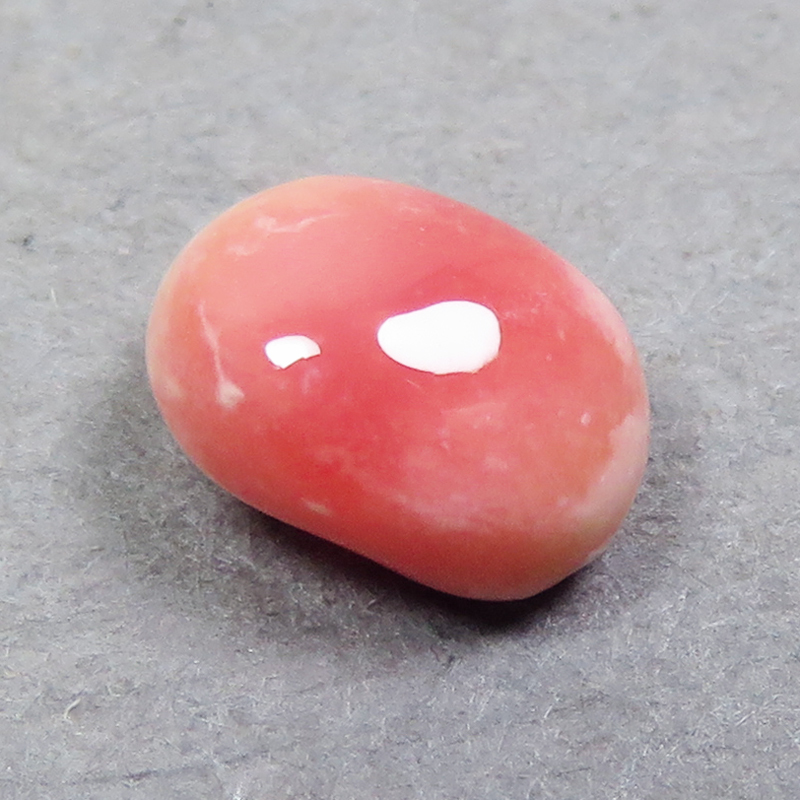 値段が激安 コンクパール(conch pearl) ② ルース(0.78ct) 真珠