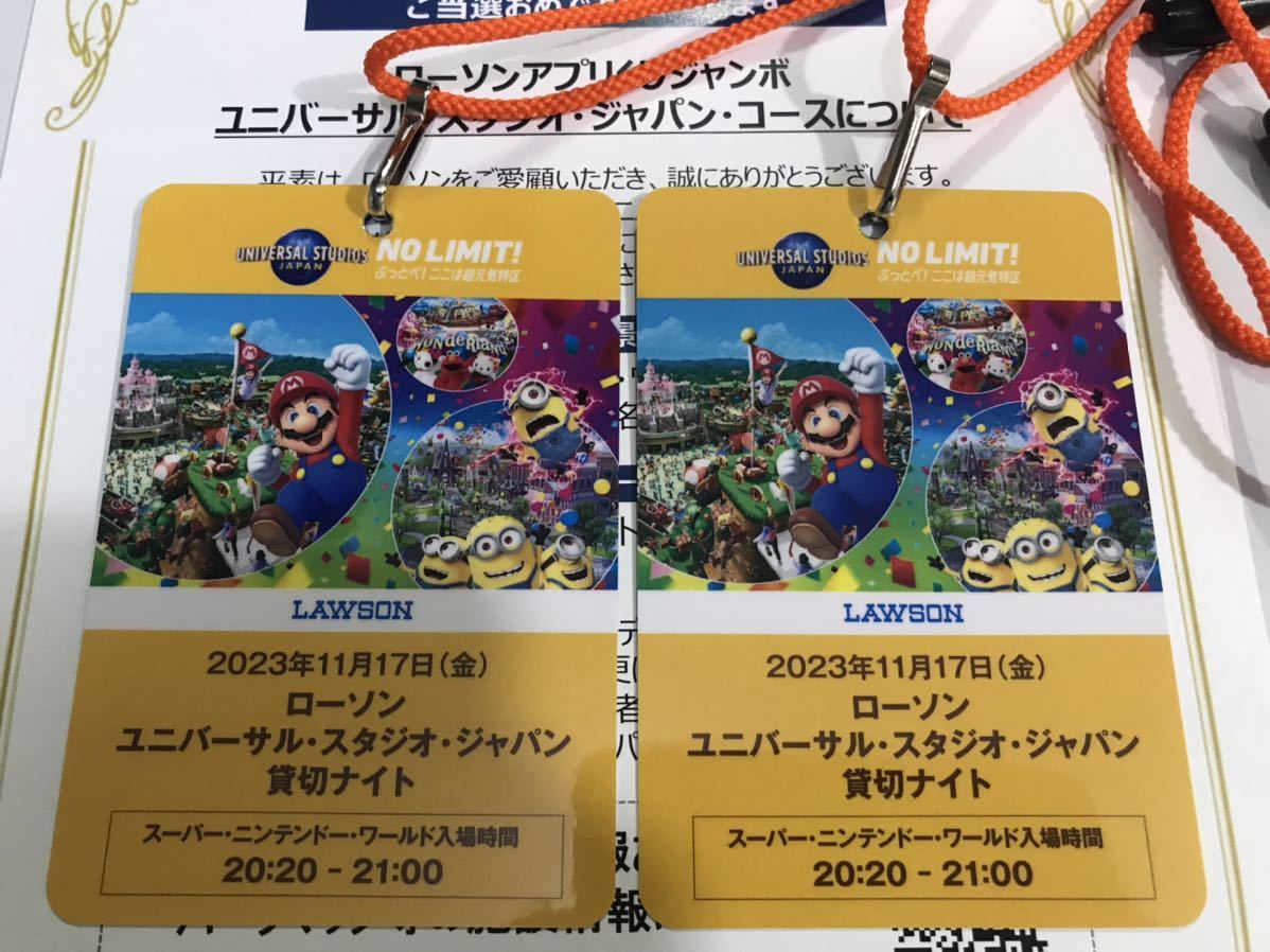 11月17日【2名様分】USJ ユニバーサルスタジオジャパン チケット