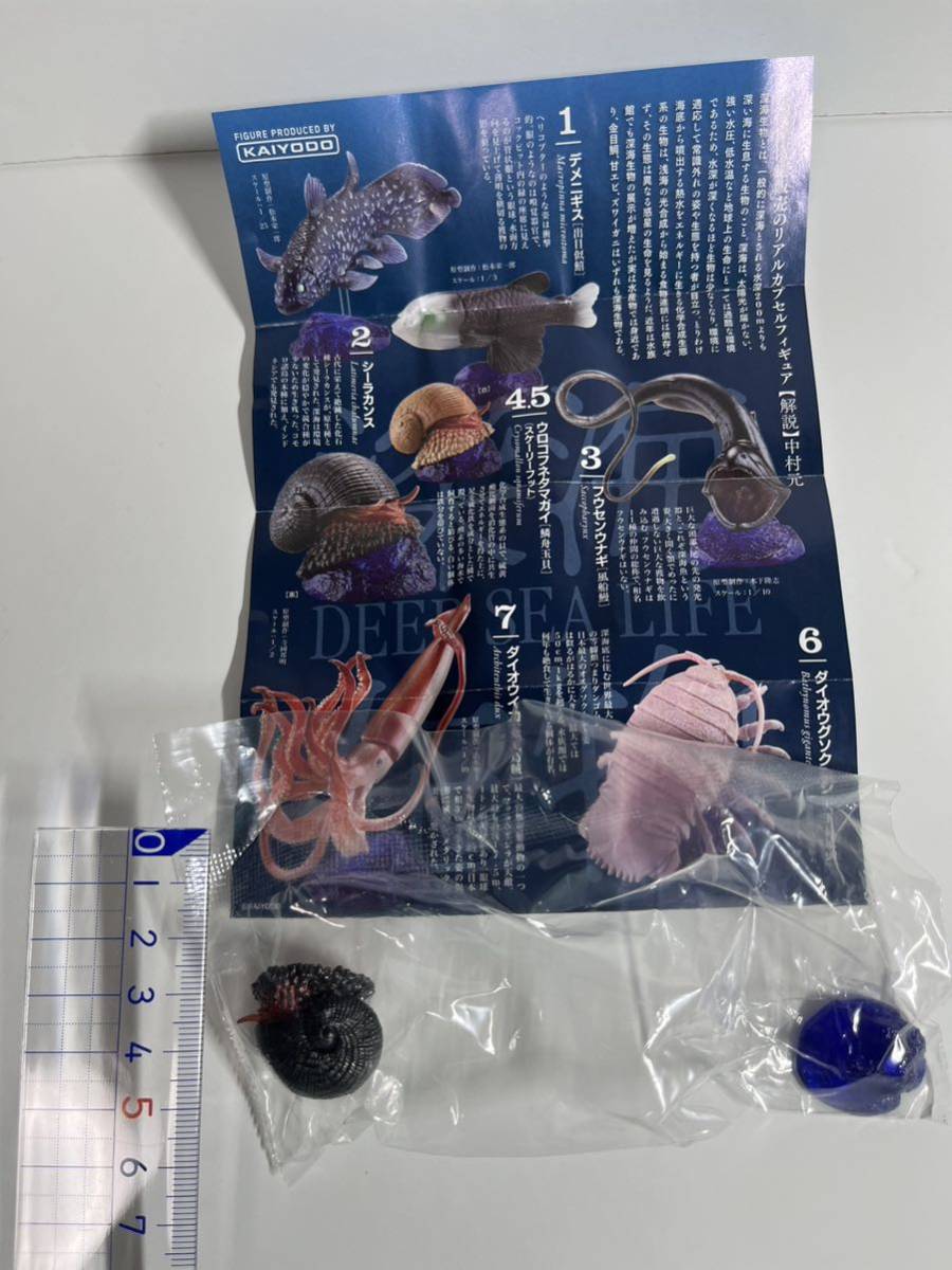 深海生物 DEEP SEA LIFE 単品 ウロコフネタマガイ　[黒] 海洋堂 フィギュア　水族館限定　生物図録 古代魚 ガチャ 深海魚_画像3