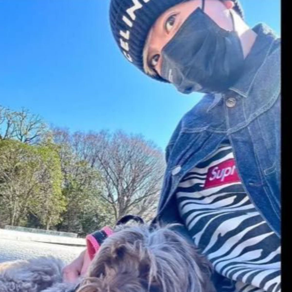 supreme Box Logo Crewneck Zebra ボックスロゴ ゼブラ|Yahoo supreme Box Logo Crewneck Zebra ボックスロゴ ゼブラ|Yahoo