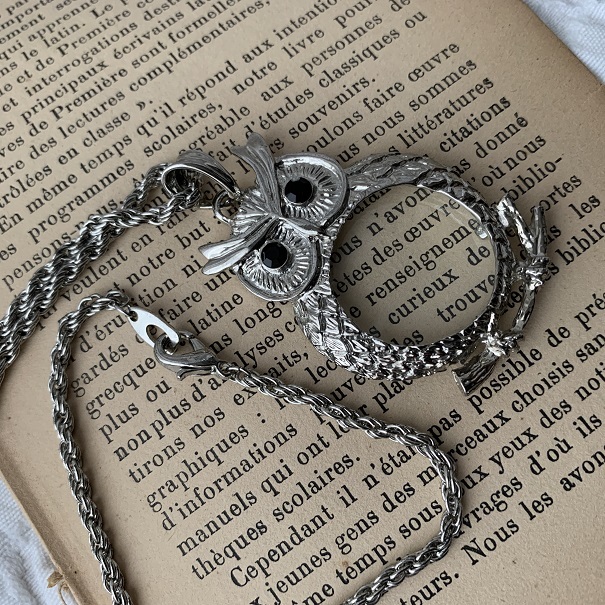  owl magnifier long chain necklace lady's pendant magnifying glass insect glasses silver color silver color black eyes .