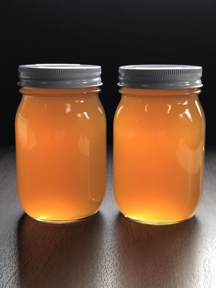 日本ミツバチ純粋100%蜂蜜 600g×2本　糖度80度_画像1
