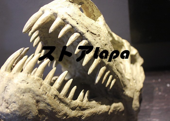 高級製品! 白亜紀 恐竜 ティラノサウルス オブジェ 置物 モデル 樹脂 ハンドメイド 卓上 彫刻 彫像 インテリア 玄関 雑貨 q270_画像4