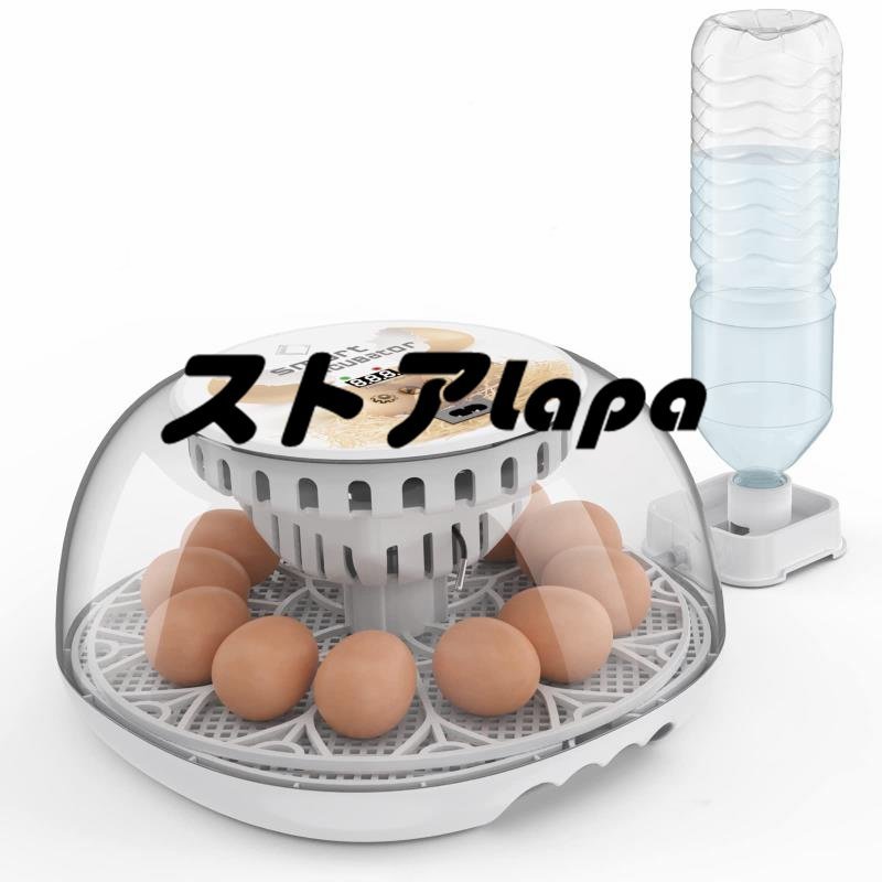  automatic . egg vessel in kyu Beta - birds exclusive use automatic rotation egg type a Hill goose ... chicken etc. house .. egg vessel 12 piece insertion egg possibility child education for home use q183