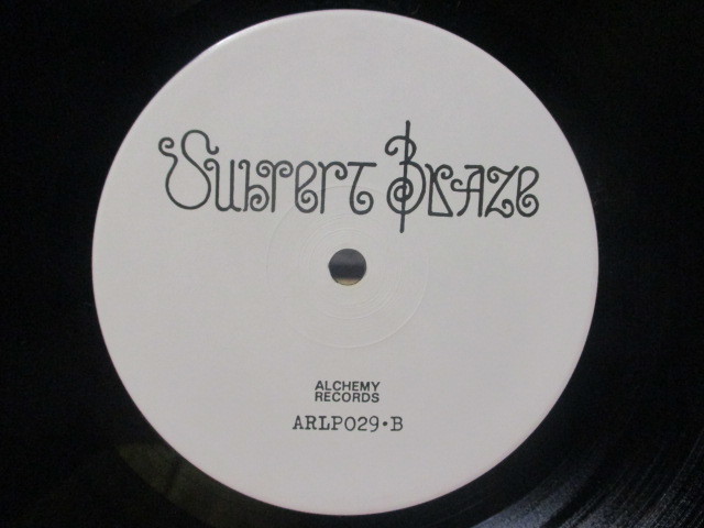 美盤 サバート・プレイズ SUBVERT BLAZE サヴァート・プレイズ Subvert Arts サバート・アーツ LP '90 アルケミー オリジナル Alchemy_画像8