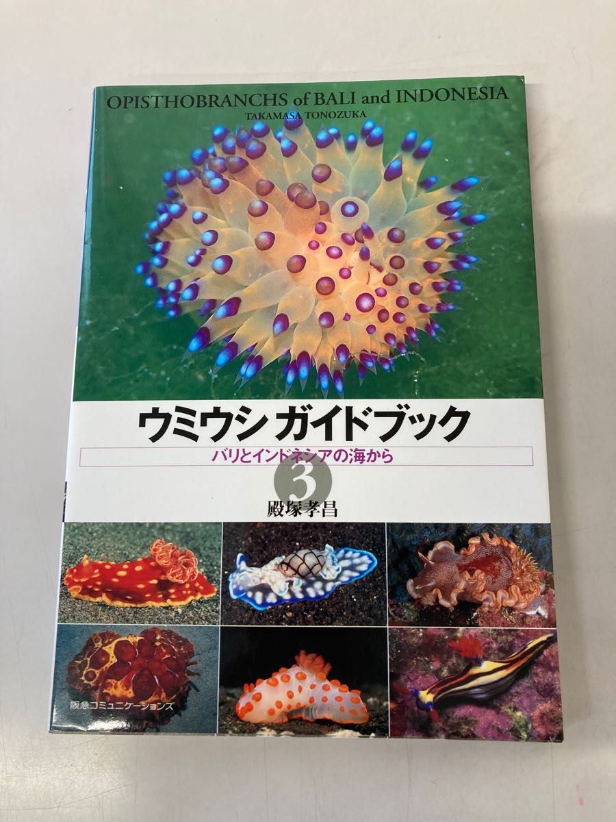 ウミウシガイドブック〈3〉バリとインドネシアの海から／殿塚 孝昌