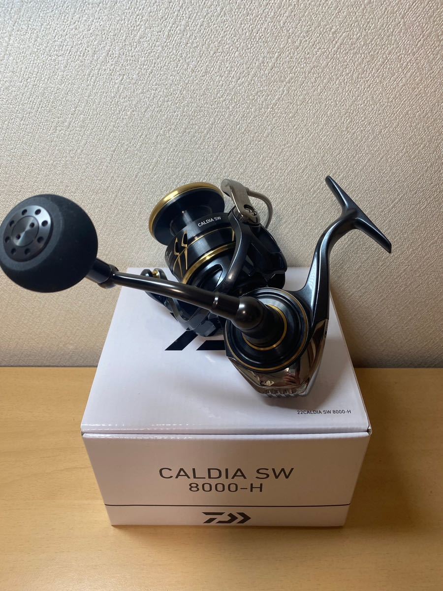 ダイワ 22 CALDIA SW 8000-H