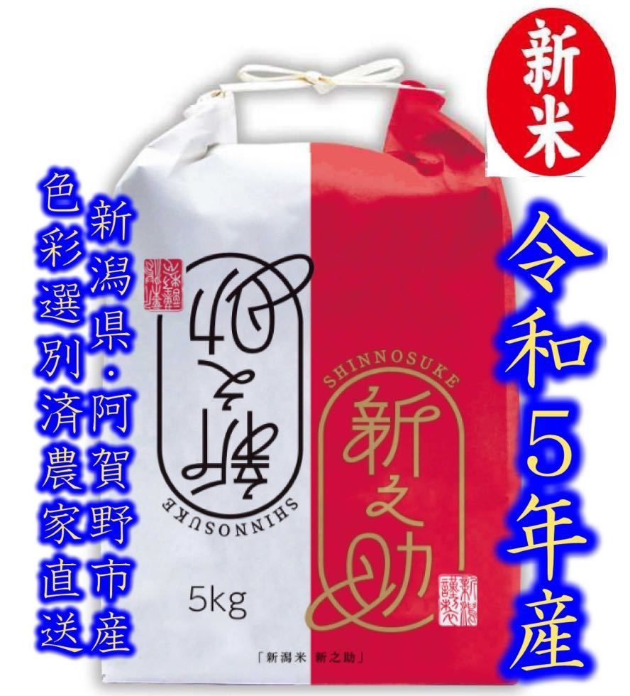 新米・令和5年産新潟コシヒカリ 白米5kg×4個☆農家直送☆色彩選別済27 - 米