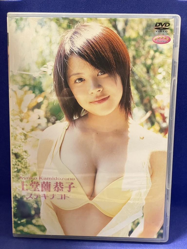 B001 DVD 上堂薗恭子 ステキナコト_画像1