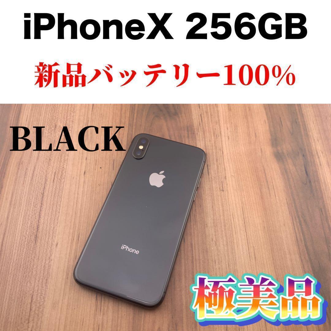 81iPhone X Space Gray 256 GB SIMフリー本体