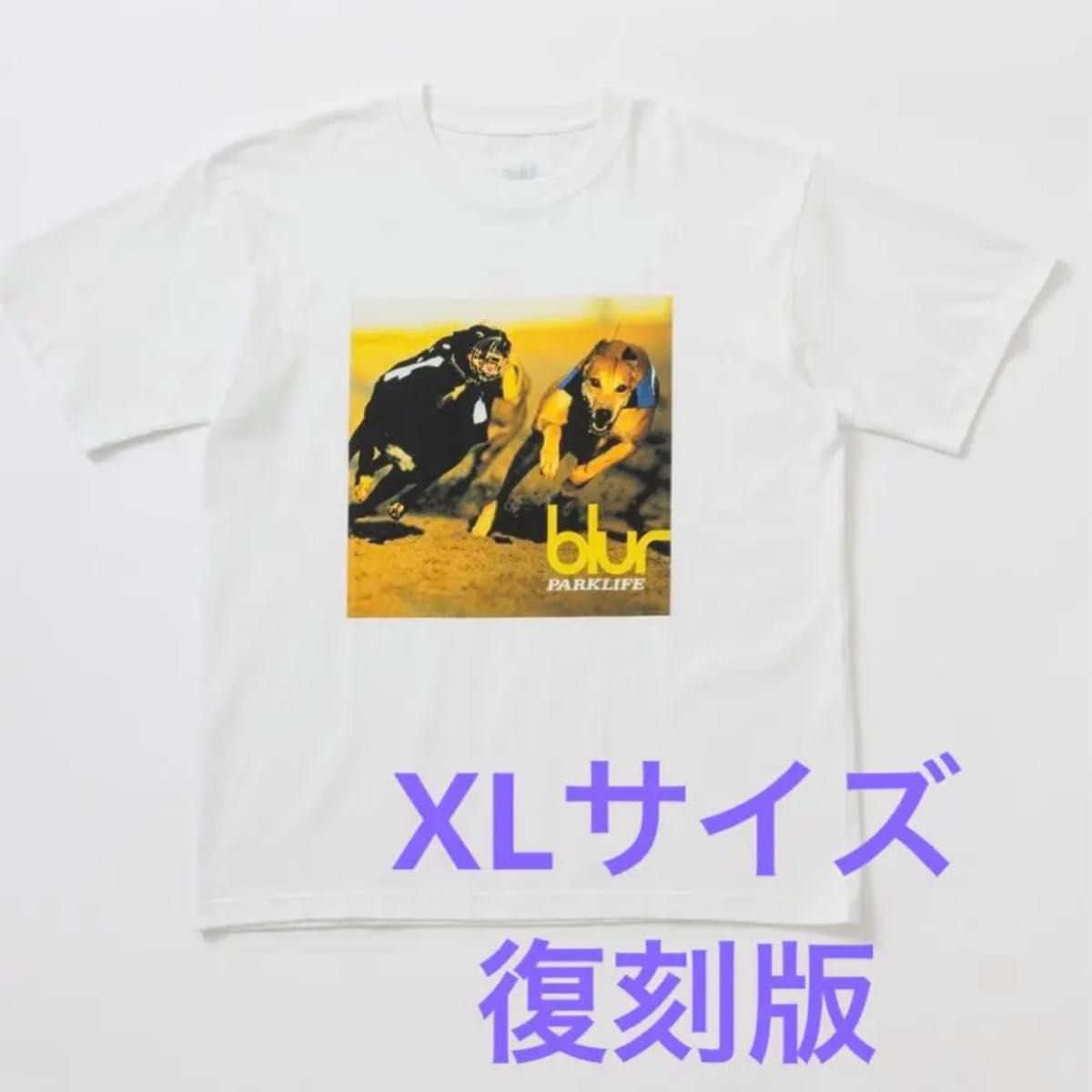 blur×BIOTOP×10CULTURE 復刻Tシャツ XLサイズ-