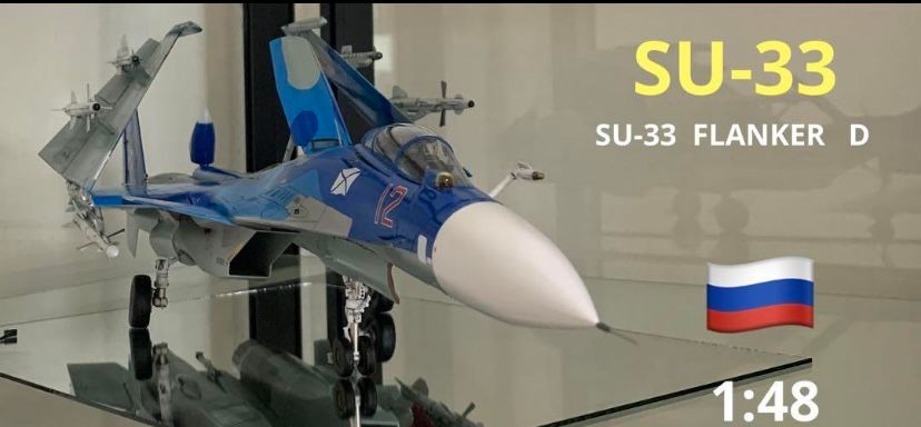 スホーイ SU33 D フランカー 1/48 