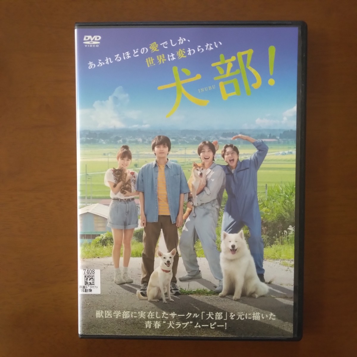 犬部！ DVD レンタル版 林遣都 中川大志 大原櫻子_画像1