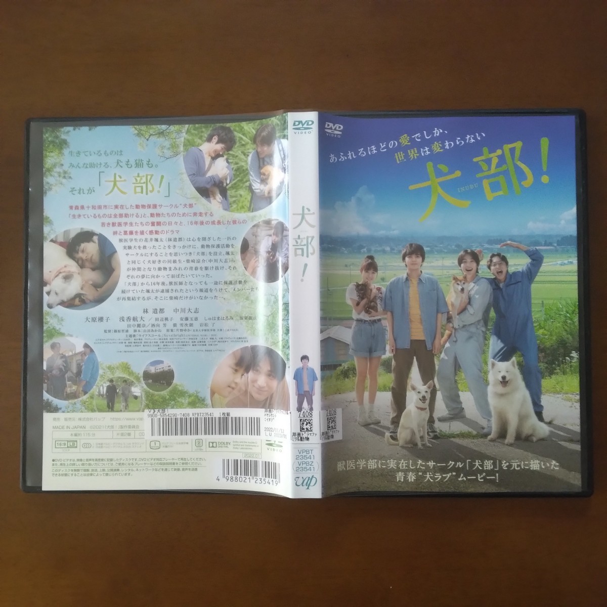 犬部！ DVD レンタル版 林遣都 中川大志 大原櫻子_画像3