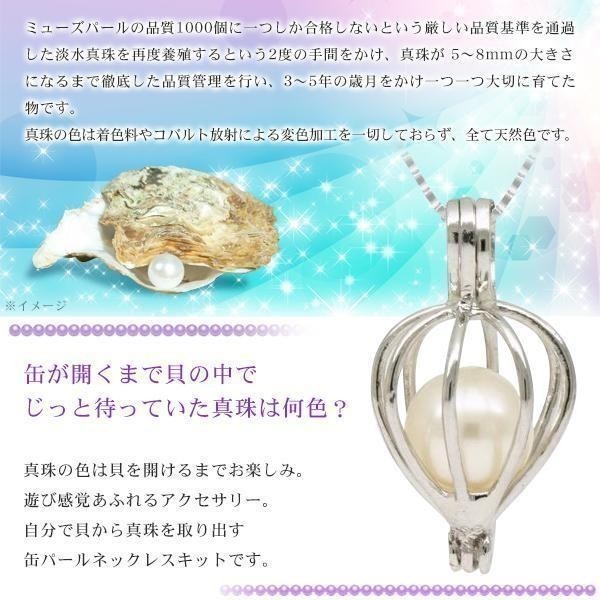 真珠 ネックレス 天然 パール ペンダント付き 真珠缶 天然パール 品質基準クリア 淡水真珠 プレゼントに 缶パールネックレス_画像6