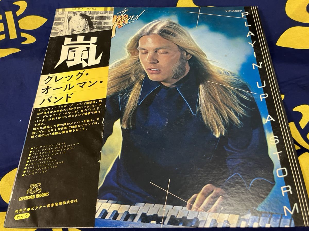 Gregg Allman Band★中古LP国内プロモ白レーベル盤帯付「グレッグ・オールマン～嵐」プロモシート付_画像1