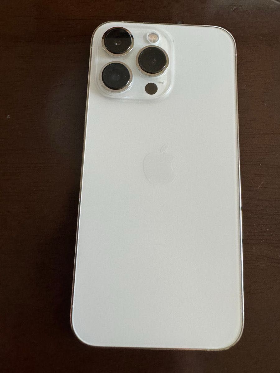 iPhone 13 Pro 256GB シルバー 85%|PayPayフリマ