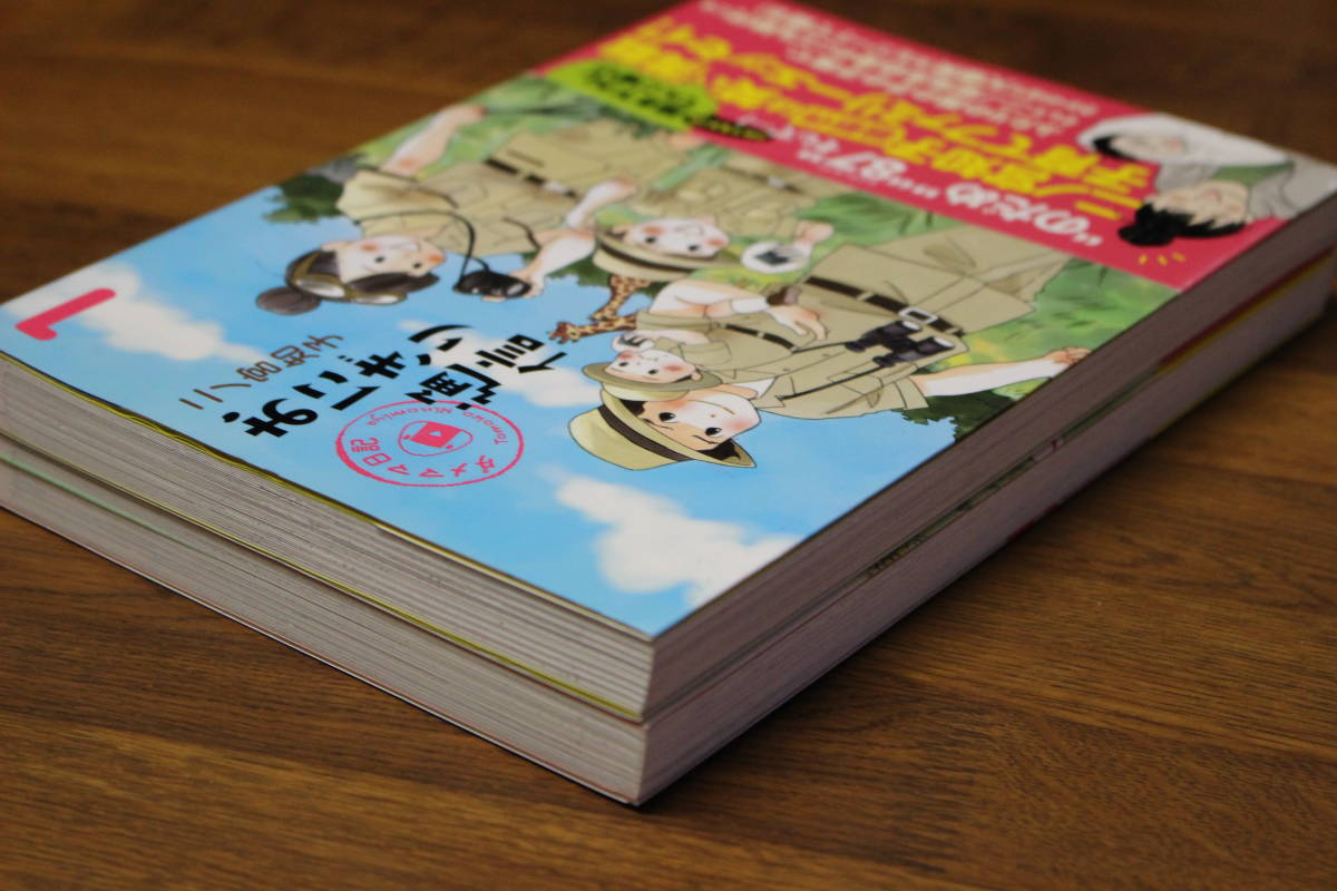 おにぎり通信　ダメママ日記　1.2巻　二ノ宮知子　集英社　帯付き　は170_画像4