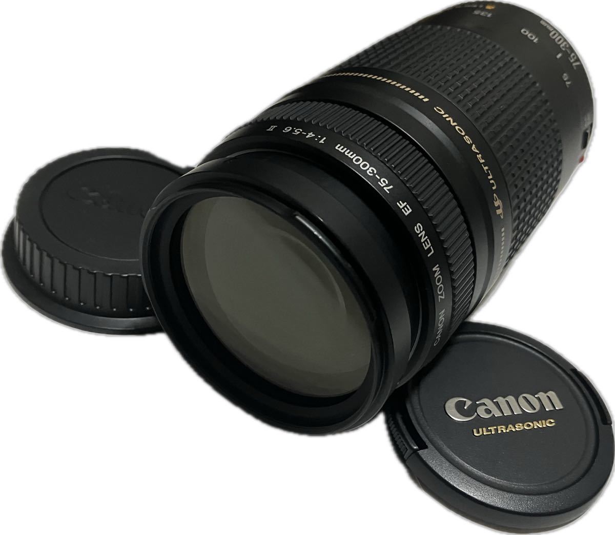 ☆極上美品☆ キャノン CANON EF 75-300mm F4-5.6 II USM #5940084-